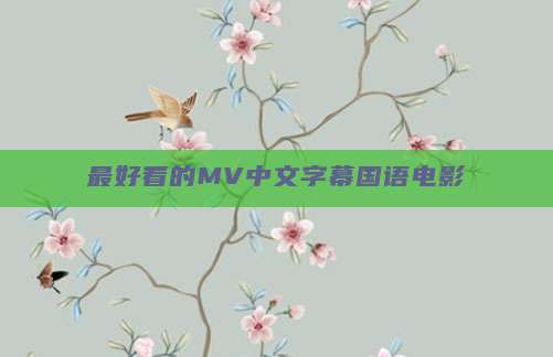 最好看的MV中文字幕国语电影